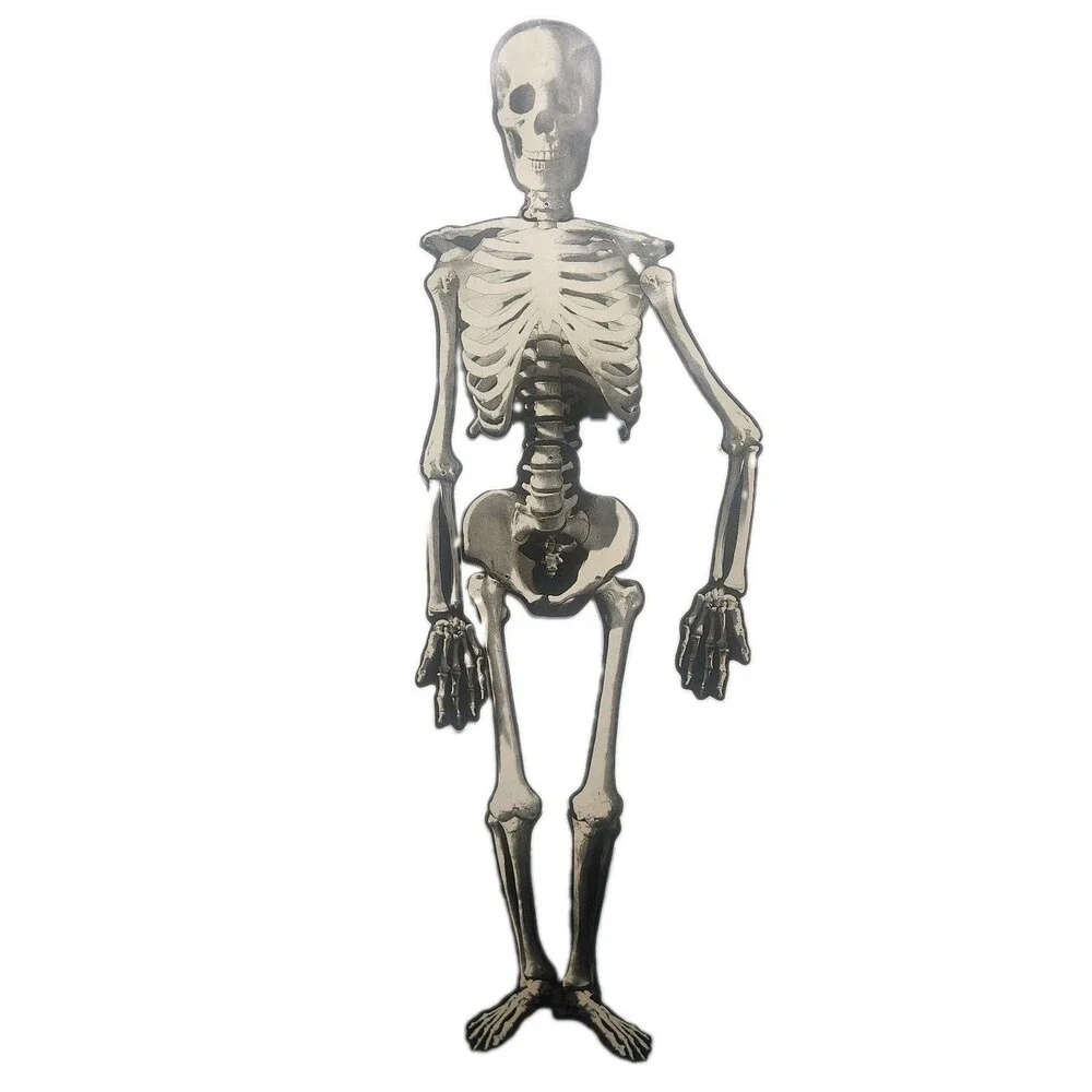 Die Cut Skeleton Jointed Articulated 53